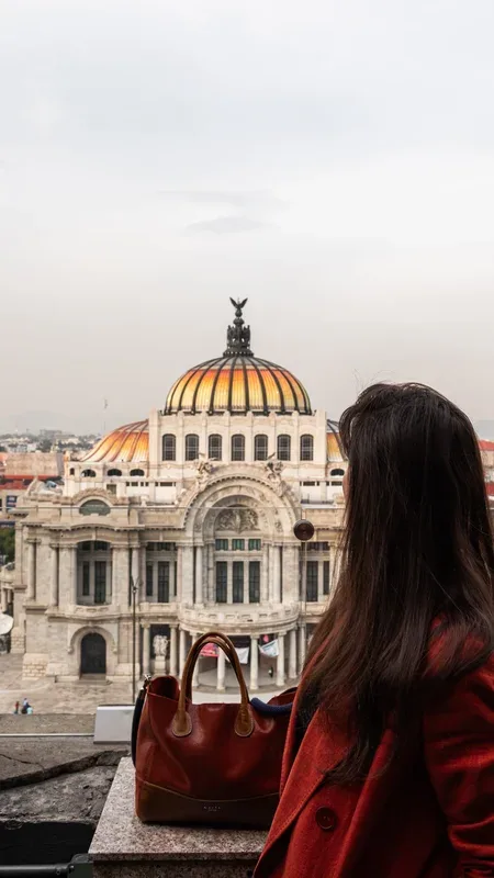 Traveller looking out over the dome of the Palacio de Bellas Artes — Explore stream of The Voyage Within